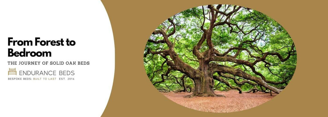 From Forest to Bedroom: The Journey of Solid Oak Bed