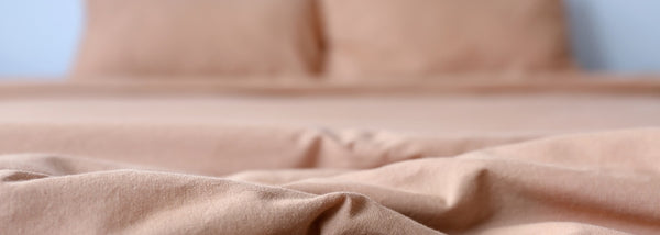 How to clean your mattress from bed bugs
