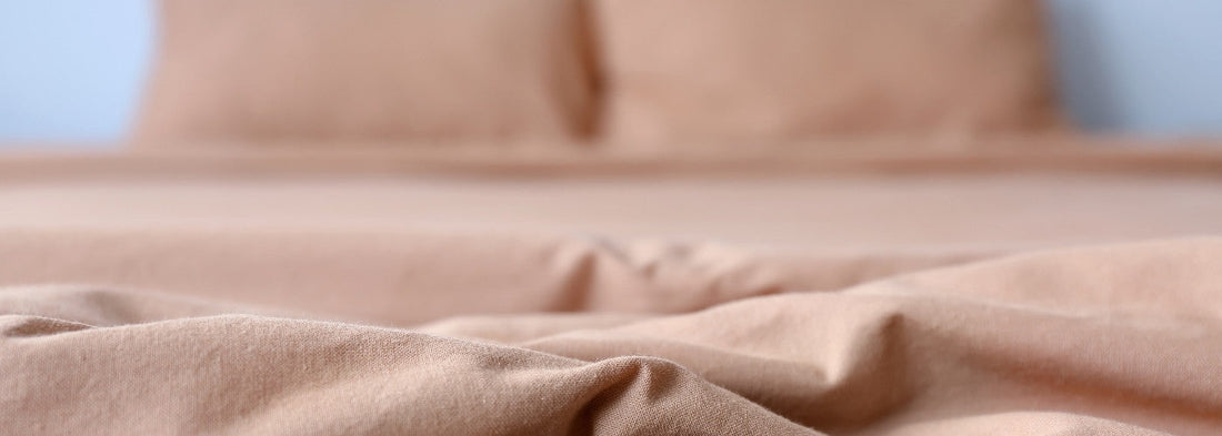 Bed Bugs Mattresses