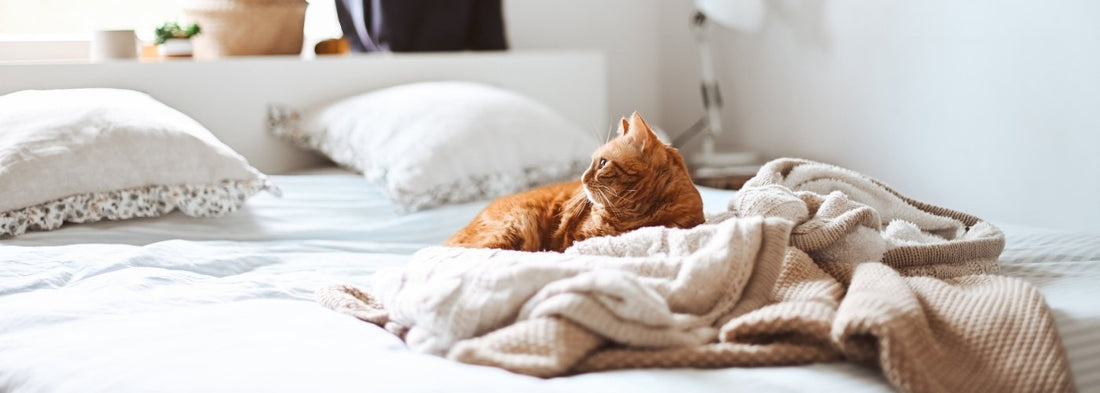 Does the bed base affect mattress performance