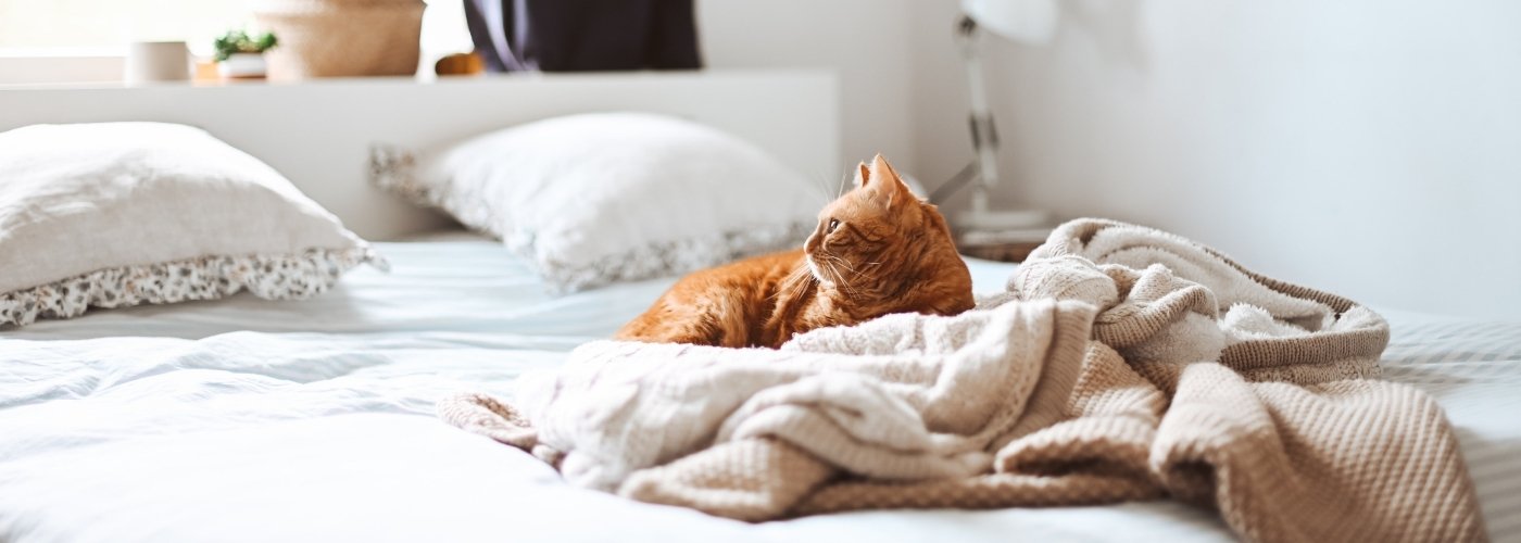 Does the bed base affect mattress performance