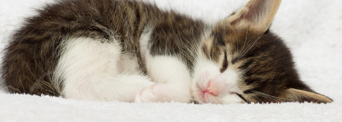 What are the best sleeping positions for sleepers with breathing problems?