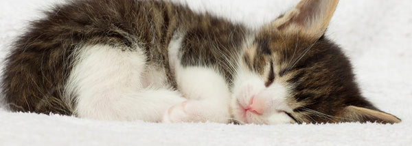 What are the best sleeping positions for sleepers with breathing problems?