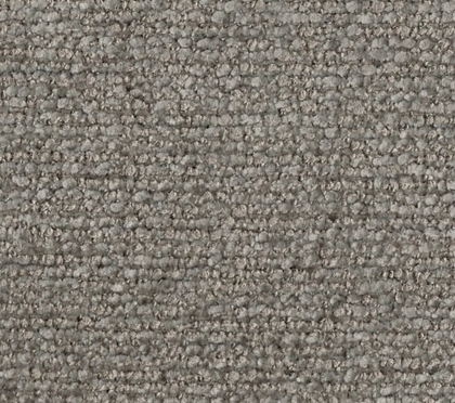 Porcini MIR3842