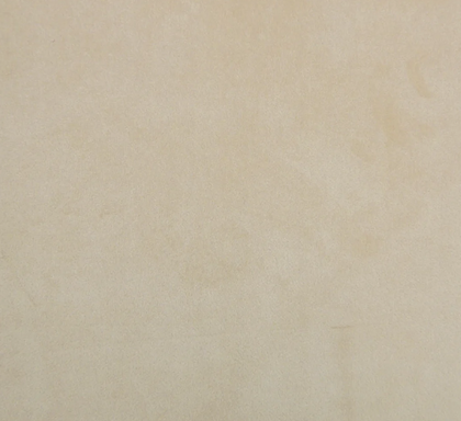 Champagne CAM1732