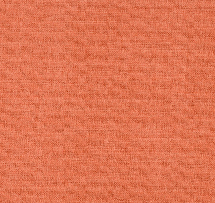 Coral MOD2229