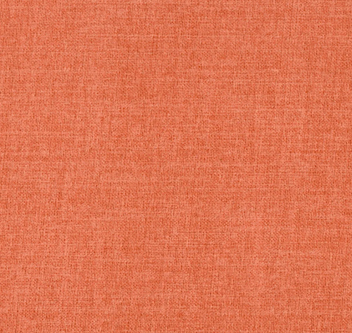 Coral MOD2229