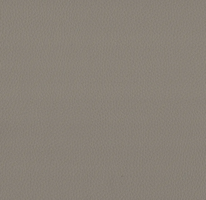 Taupe MAX3389
