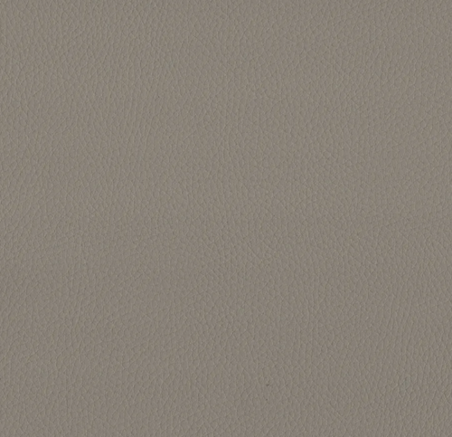 Taupe MAX3389