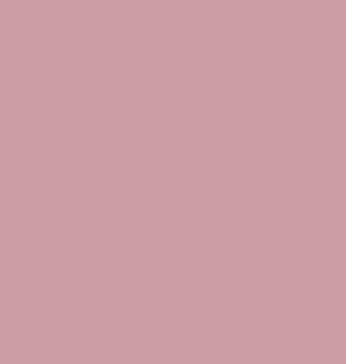 Light Pink RAL3015