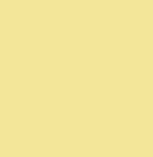Primrose Yellow RAL1009040