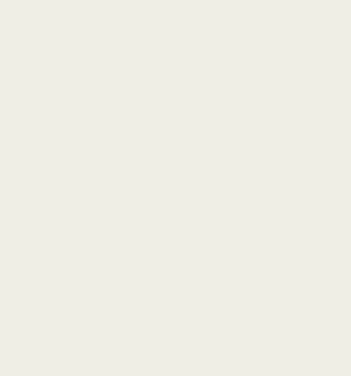 Pure White RAL9010