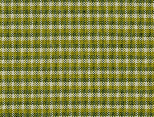 Chequered Fern QUAT2106