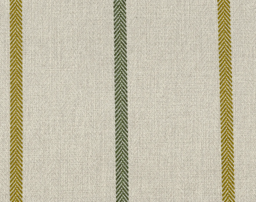 Striped Fern QUAT2121