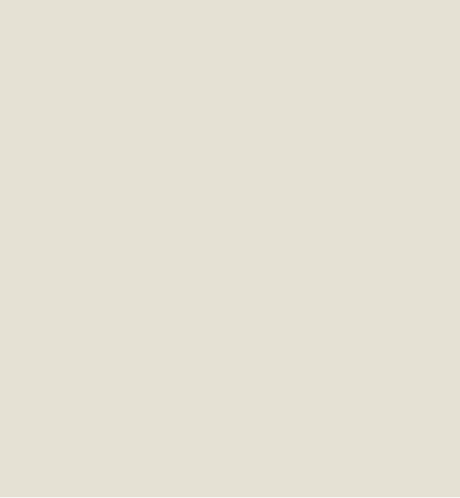 Cream RAL9001