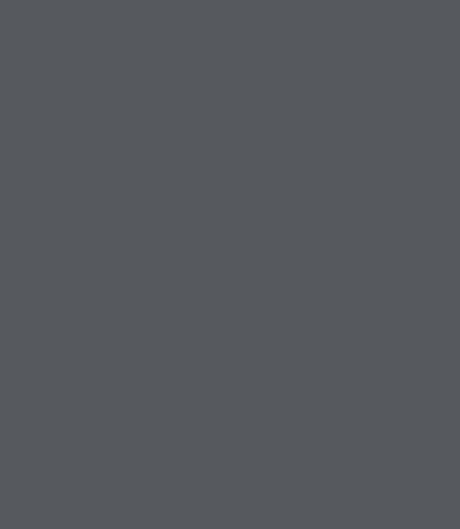 Dust Grey RAL7037