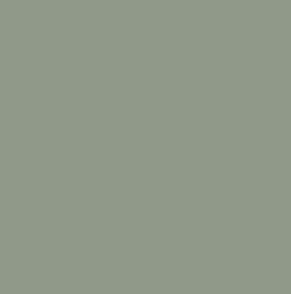 Sage Green RAL1306010