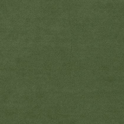 Bonsai SAP3762