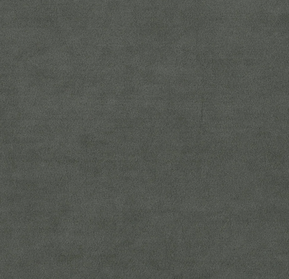 Graphite SAP3769