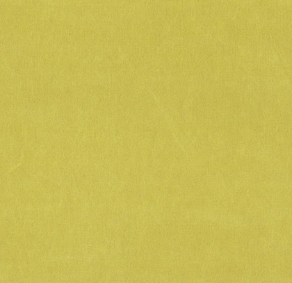 Turmeric SAP3760