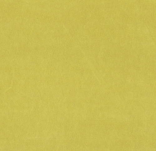 Turmeric SAP3760