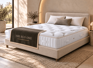 The Eco One