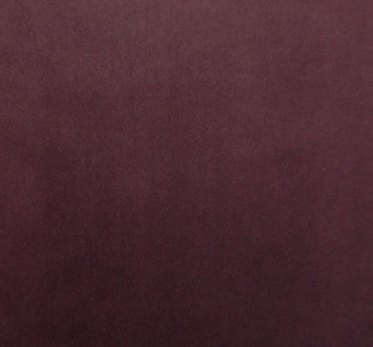 Aubergine CAM1755