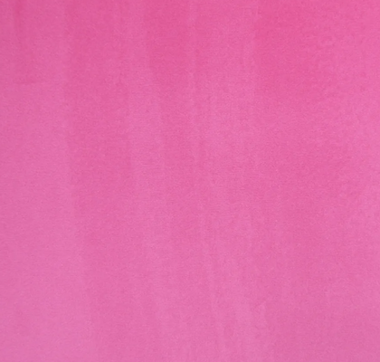 Fuchsia CAM1744