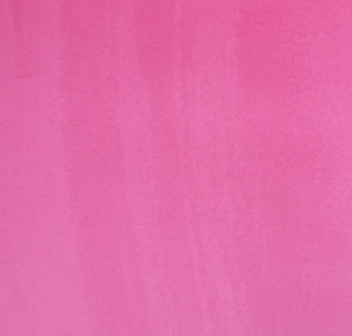 Fuchsia CAM1744