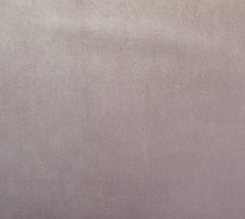 Heather CAM1752