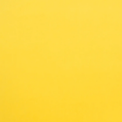 Lemon CAM1738