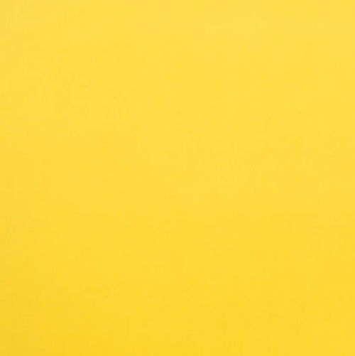 Lemon CAM1738