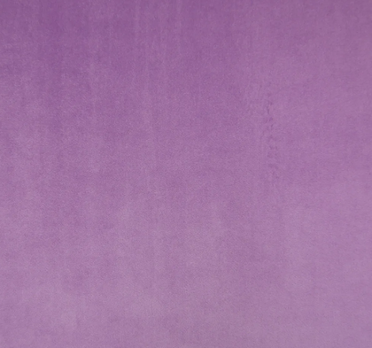 Lilac CAM1753