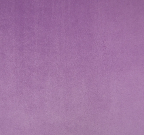 Lilac CAM1753