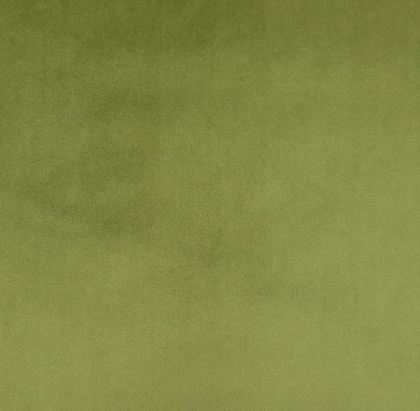 Olive CAM1750