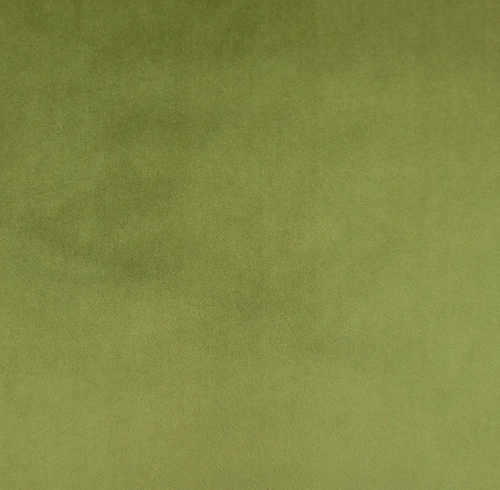 Olive CAM1750