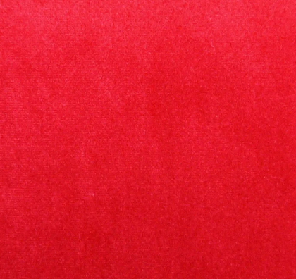 Scarlet CAM1745