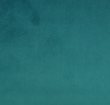 Teal CAM1758