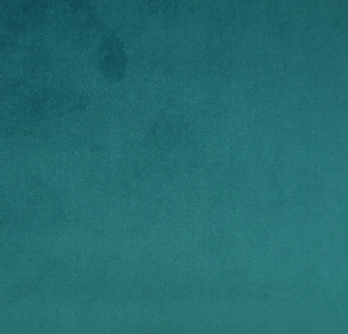 Teal CAM1758