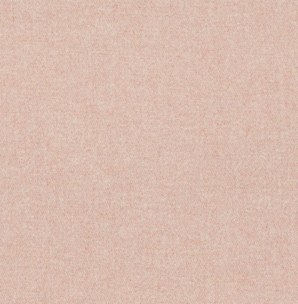 Primrose SON3640